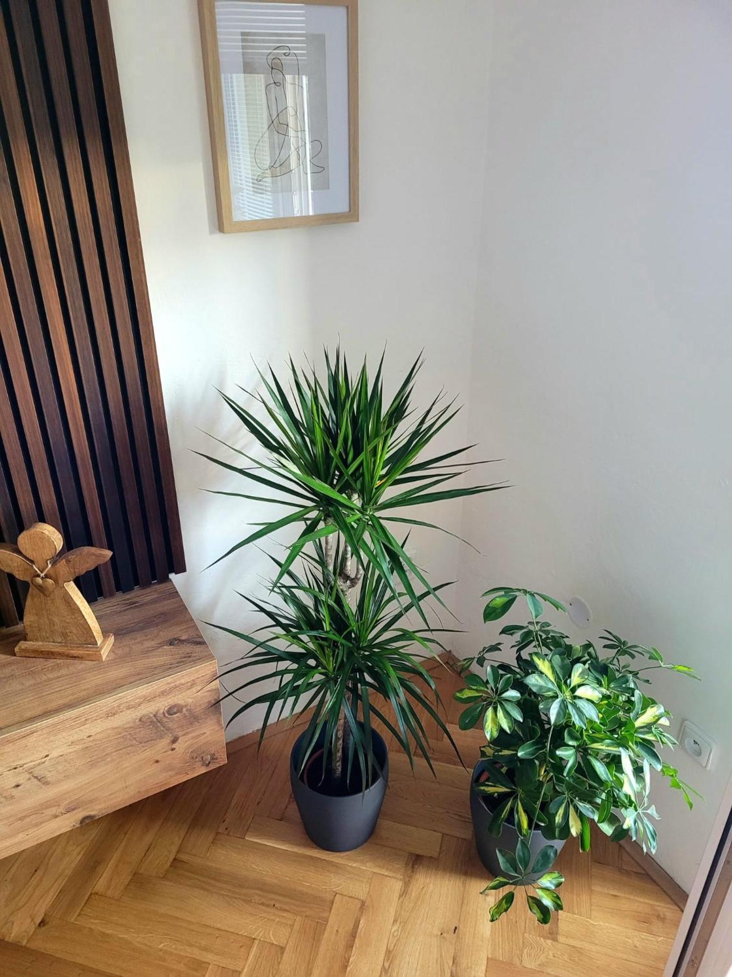 Novy Apartman Eva Jicin Luaran gambar