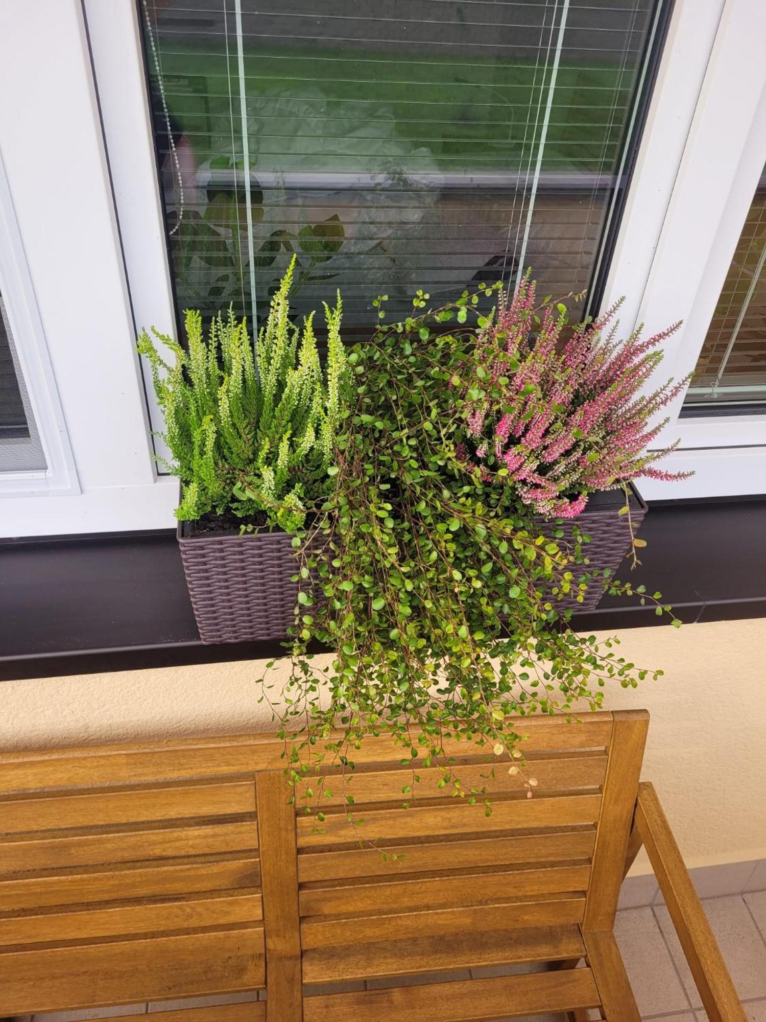 Novy Apartman Eva Jicin Luaran gambar