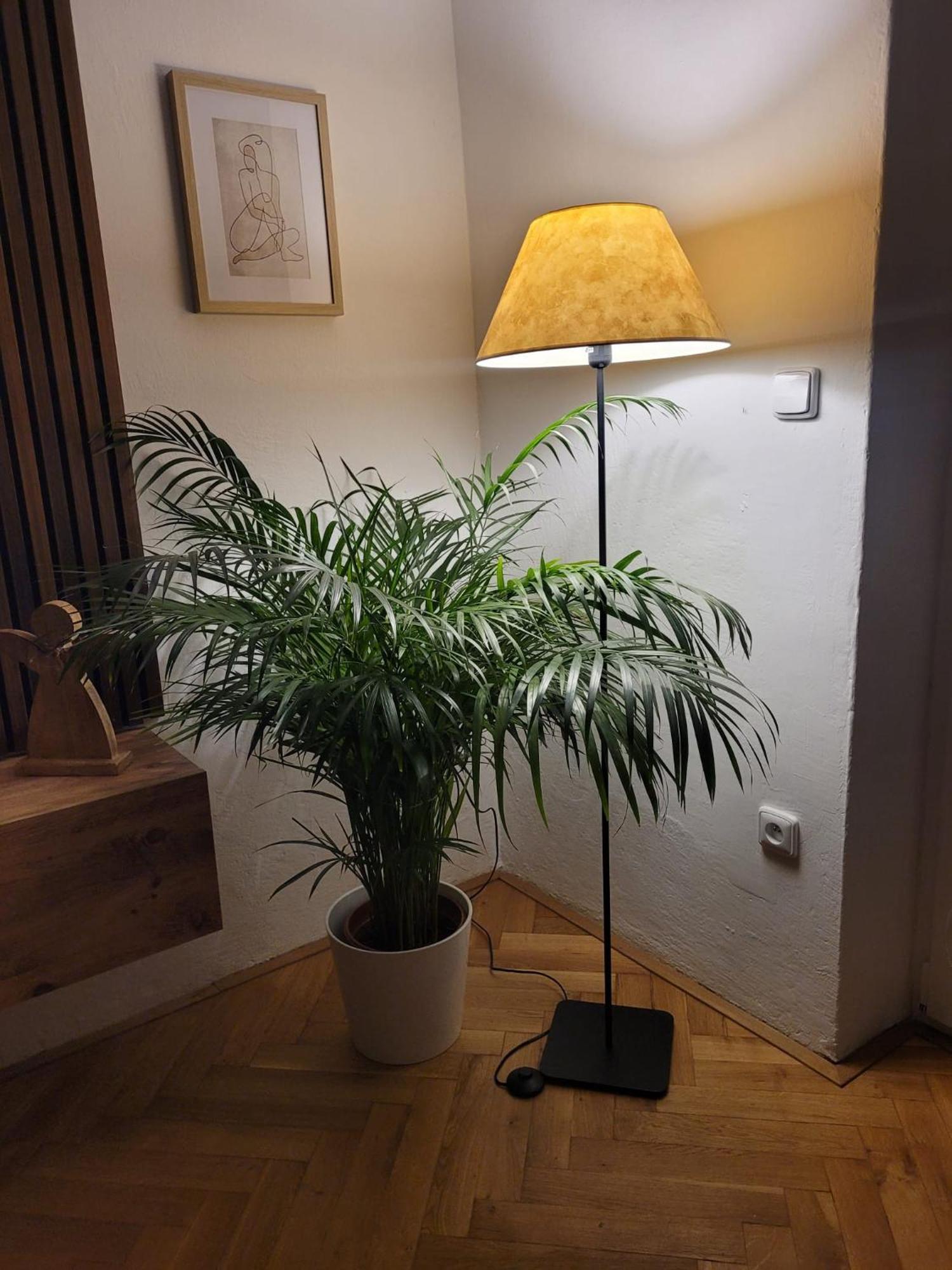 Novy Apartman Eva Jicin Luaran gambar